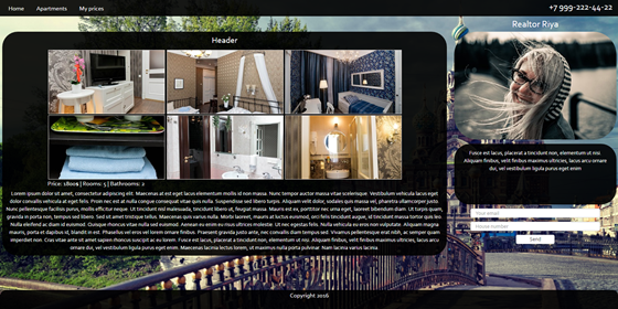 UI design: Rieltor Riya