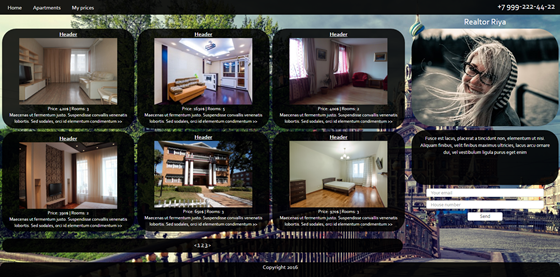 UI design: Rieltor Riya